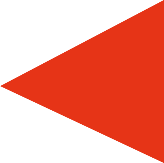 Logotyp för Zalandoarbetares Driftsektion